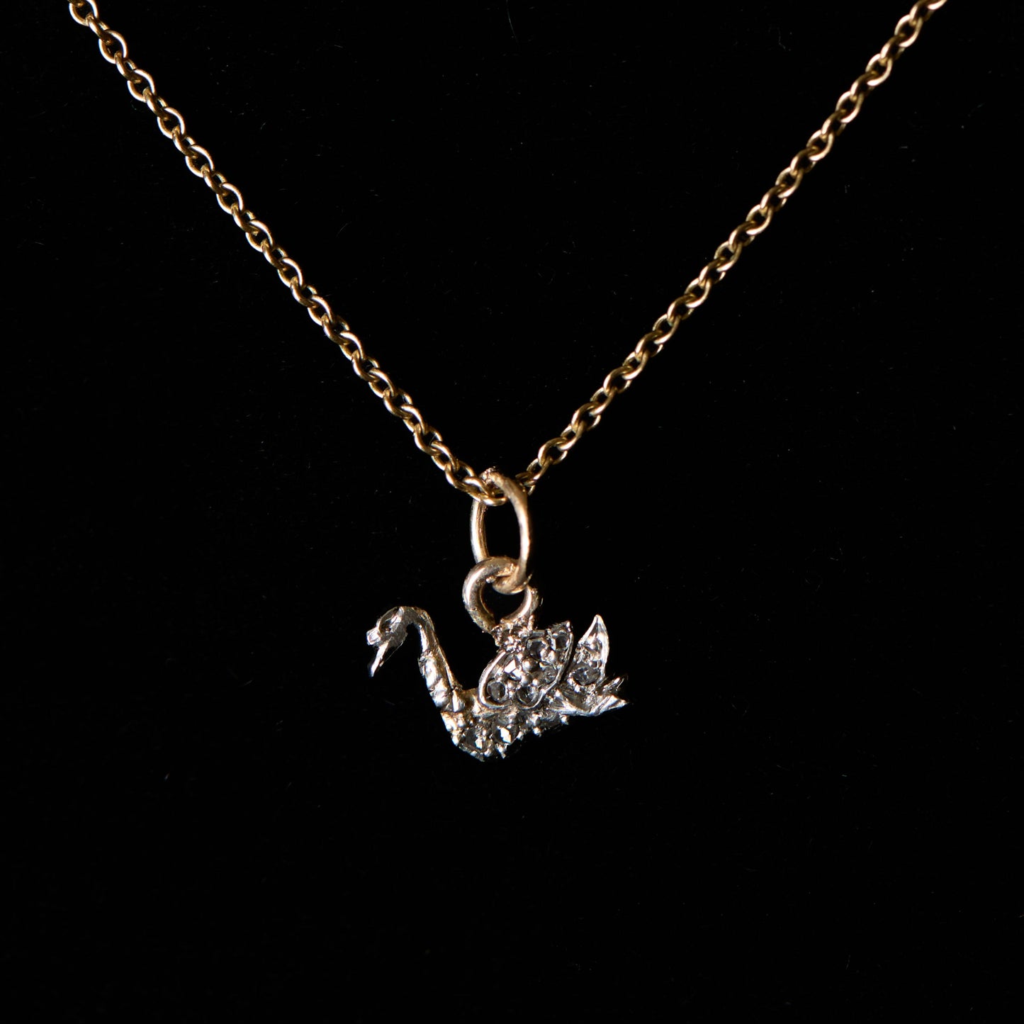 Tiny French Swan
