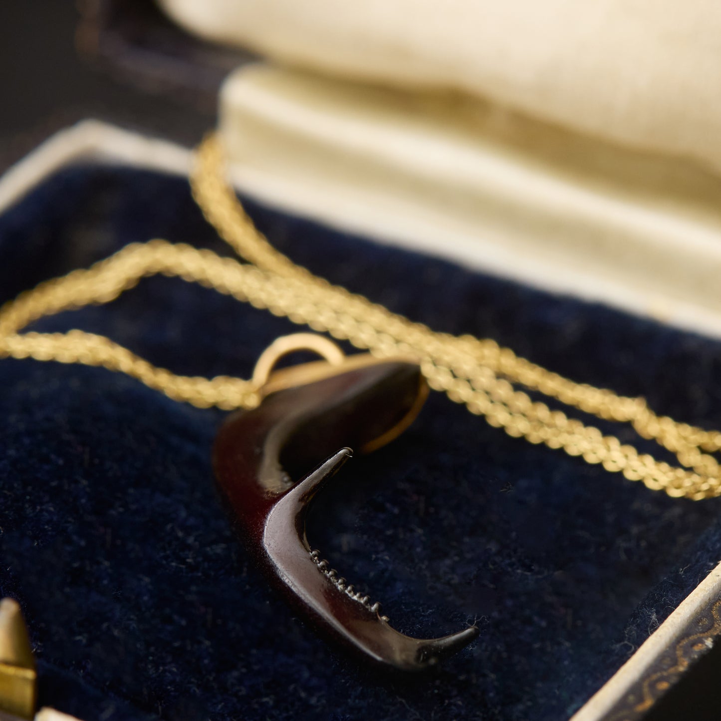 Victorian Scarab Mandible