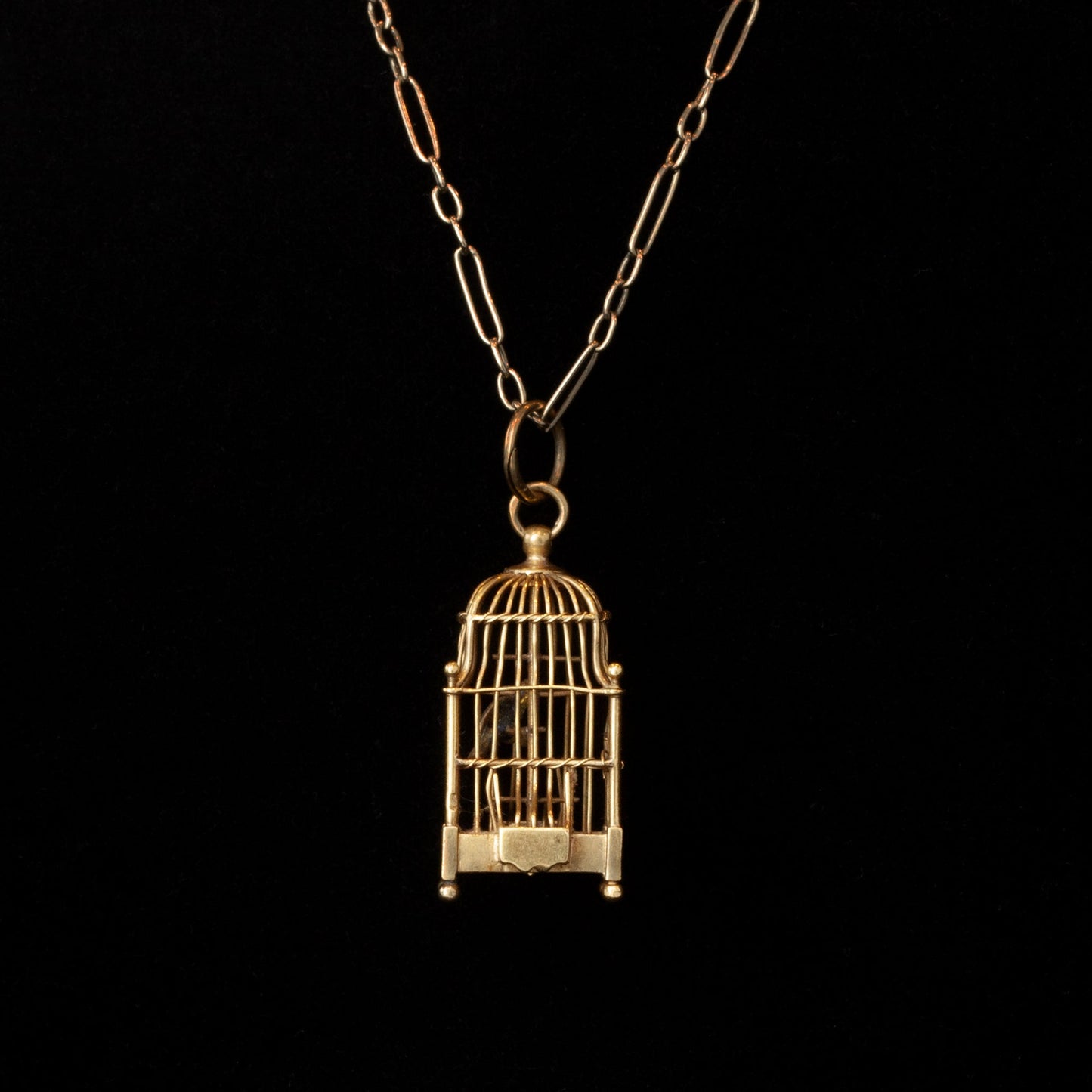 Tiny Bird in Cage