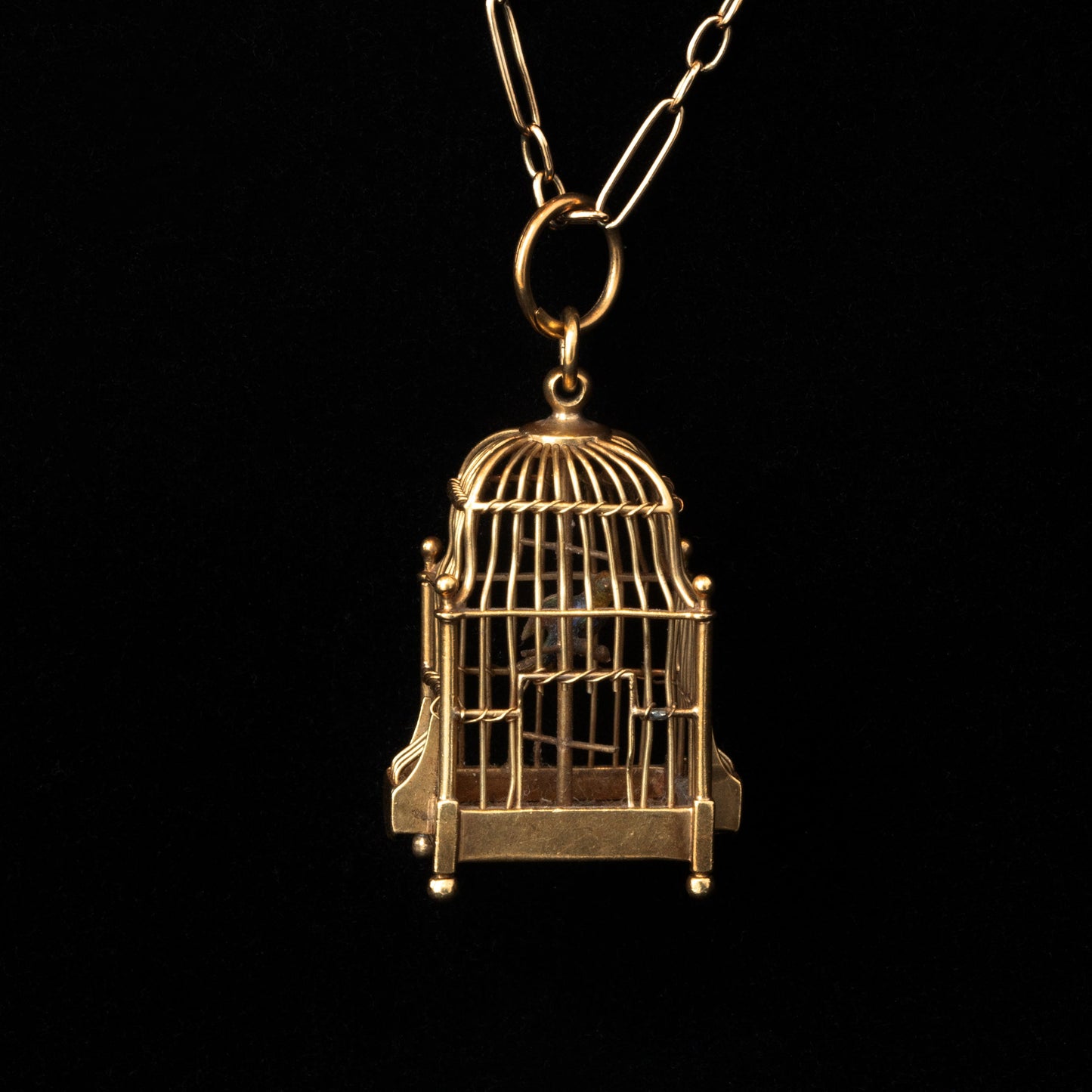 Tiny Bird in Cage
