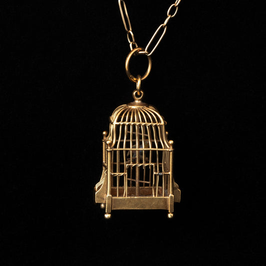 Tiny Bird in Cage